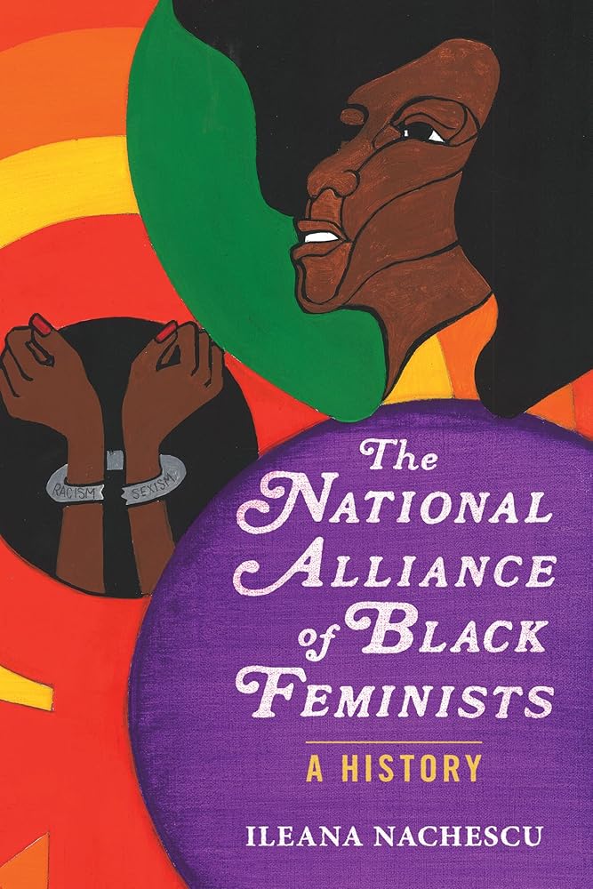 The National Alliance of Black Feminists: A History (Women, Gender, and Sexuality in American History) cover image