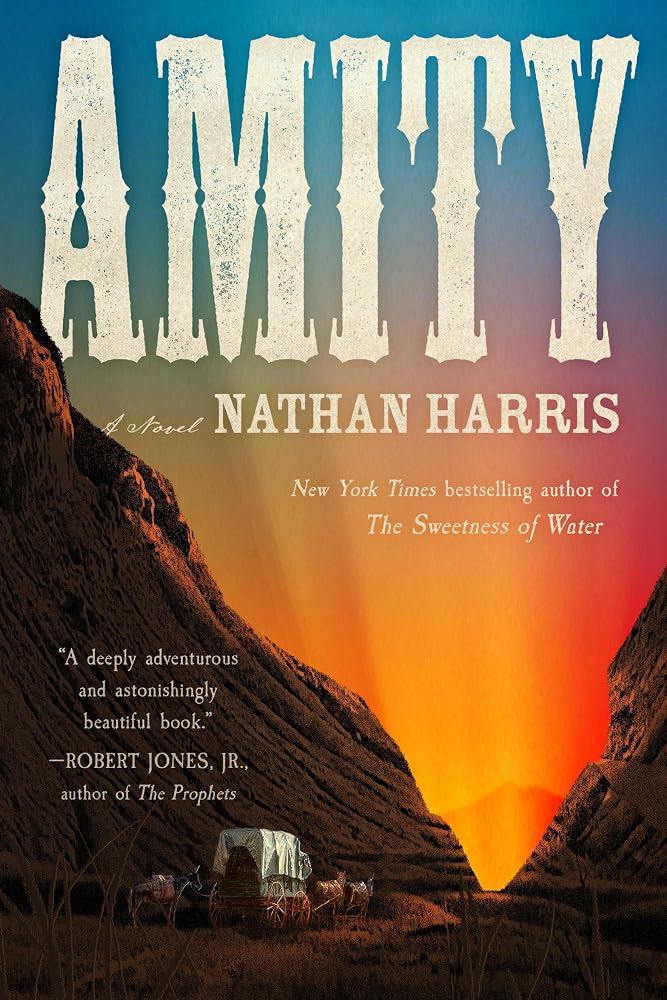 Amity: A Novel cover image
