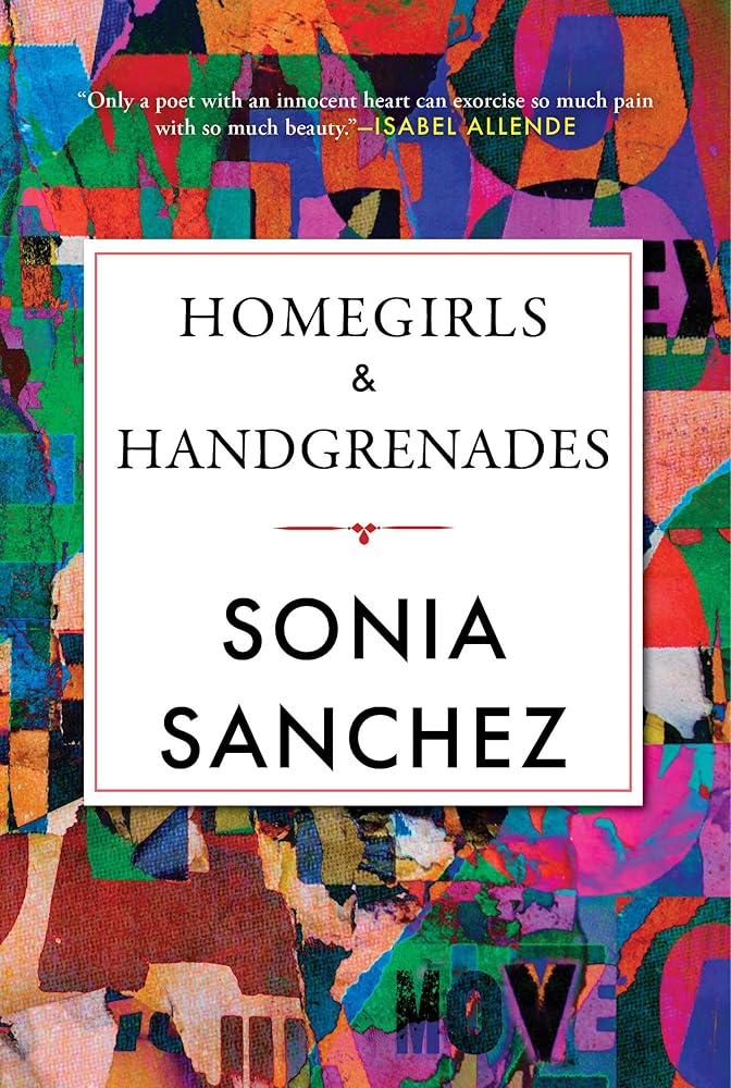 Homegirls & Handgrenades (Celebrating Black Women Writers) cover image