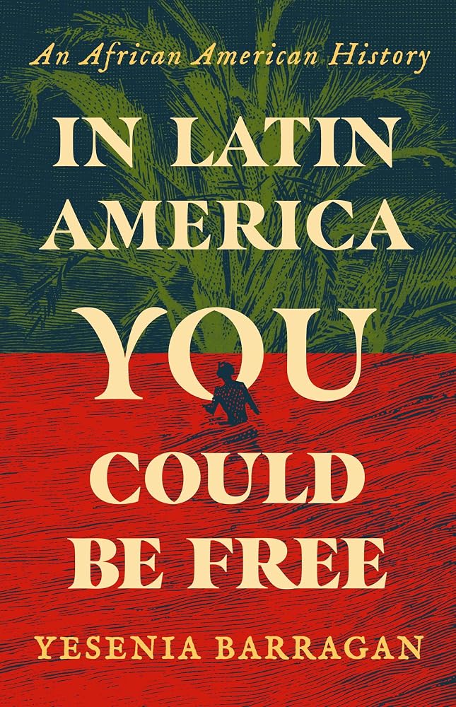 In Latin America You Could Be Free: An African American History cover image
