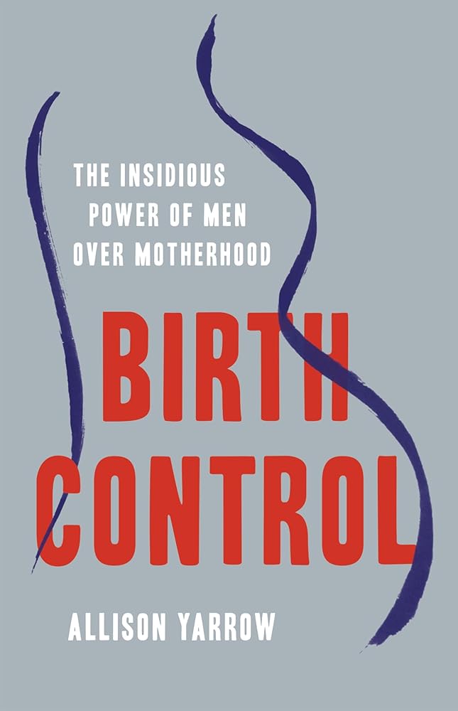 Birth Control: The Insidious Power of Men Over Motherhood cover image